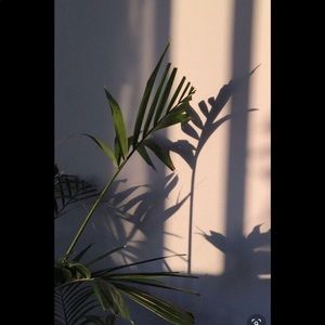 Meet your Posher, Janet